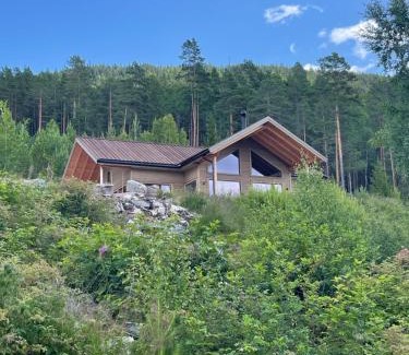 Vradal House | Furuheim Lodge, 4 seizoenen vakantiehuis met fantastisch uitzicht