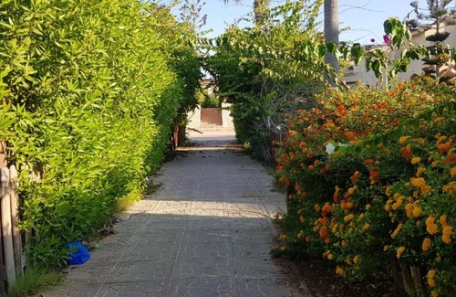 Al-Hammam Villa | فيلا بالساحل الشمالي - Villa north coast