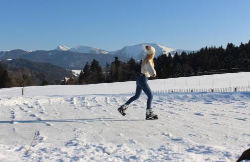 Oberstaufen Ski Chalet | Gähwindehof Mountain Ranch Resort