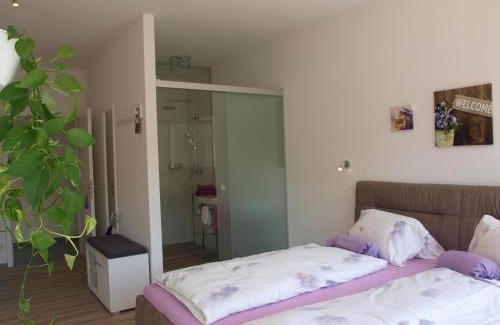 Weissenkirchen in der Wachau House | Gästehaus Haiminger ehemalig Schmelz