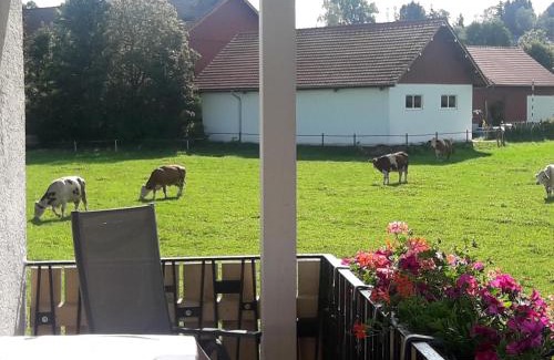 Peiting Apartment | Gästehaus Reisacher - Ferienwohnung mit Frühstück
