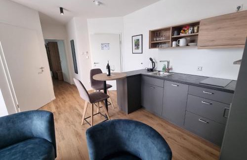 Obersulm Apartment | Gästehaus und Weingut Erich Hirth