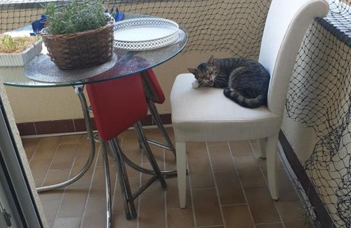 Forst Other | Gästezimmer bei Katzenliebhaberin und Chihuahua