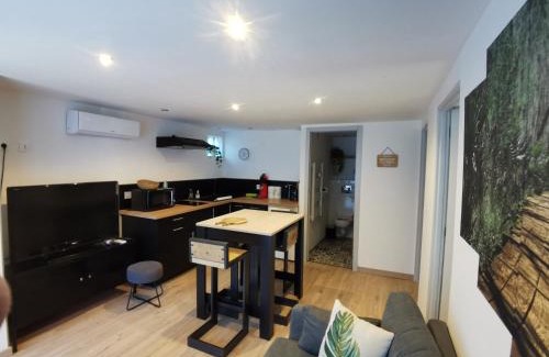 Sernhac Apartment | Gîte 2 chambres avec piscine