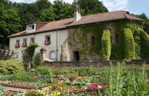 Saint-Die House | Gîte de charme pour 2 pers., terrasse, forêt à proximité, tout confort, Saint-Dié-des-Vosges - FR-1-589-209