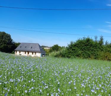 Pont-Audemer - Val de Risle House | Gîte de la giroterie, maison à la campagne au calme, vue sur la vallée