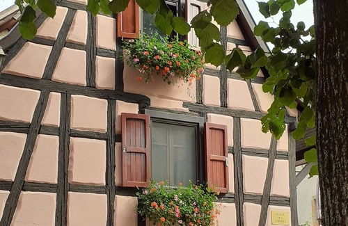 Rouffach House | Gîte de la Liberté - sur la route des Vins d'Alsace proche Colmar