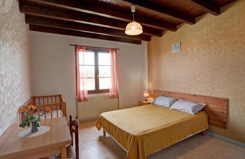 Saint-Medard-en-Forez House | Gîte familial avec cheminée, jardin et espace jeux près de Chazelles-sur-Lyon et St-Galmier - FR-1-496-281