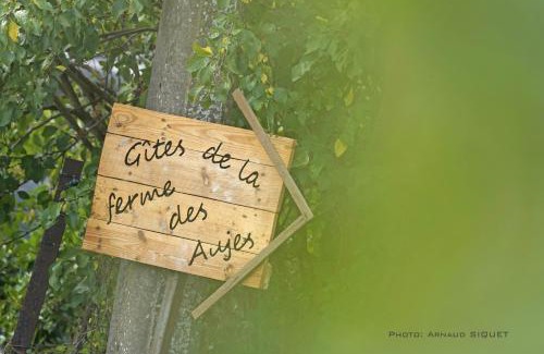 Falaen Apartment | Gîte familial ferme des aujes falaen