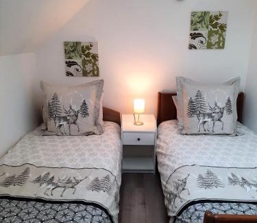 Kruth Apartment | Gîte L'Equilibre - Lac/montagnes- Familles-groupes