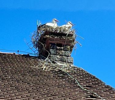 Oberbronn House | Gîte L'Instant Durable