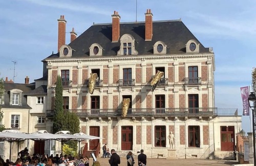 Saint-Laurent-Nouan House | Gîte "La Grande Maison"