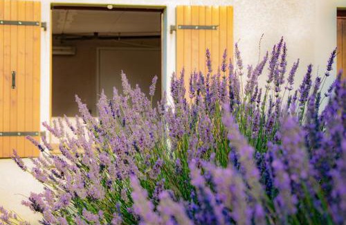 Puechoursi Apartment | Gîte Lempery