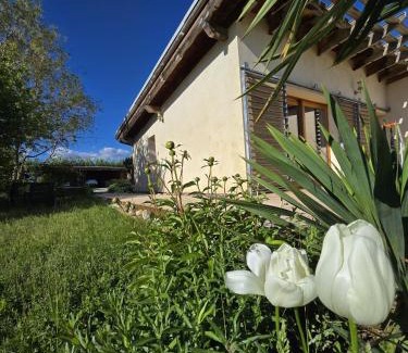 La Brillanne House | Gîte les Syrphes