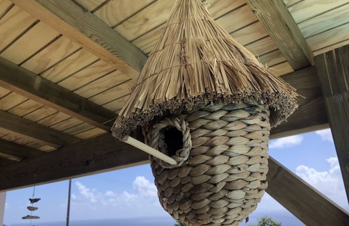 Capesterre-Belle-Eau Apartment | Gîte Maracudja Sea view & southern islands