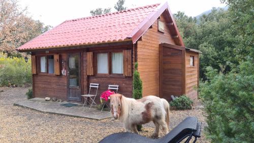 Termes House | Gîtes à la Ferme - Hautes-Corbières