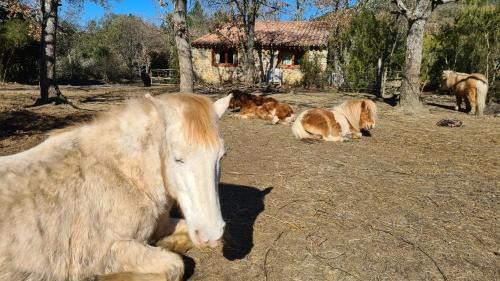 Termes House | Gîtes à la Ferme - Hautes-Corbières