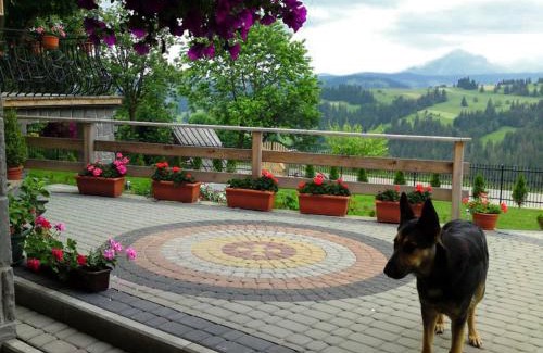 Zab House | Góralska Chata