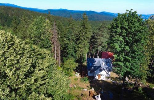 Sosnowka House | Górski Domek koło Karpacza- Apartamentuj
