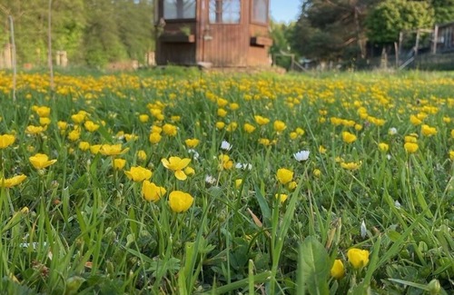 Kall House | Gönn Dir Eine Auszeit - Raus ins Grüne - Komm in die Sötenicher Mühle
