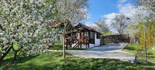 Valea Crisului House | G&G Vacation Home