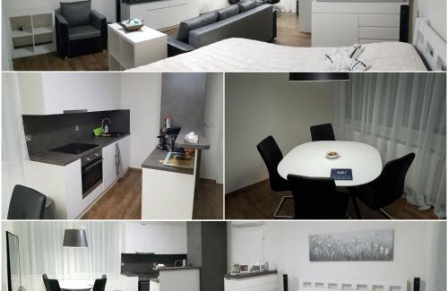 Hostivar Apartment | G support apartment