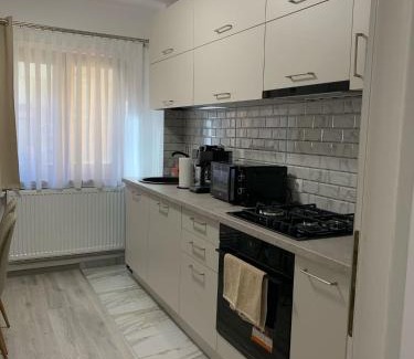 Ocna Mures Apartment | Gaby's Apartment