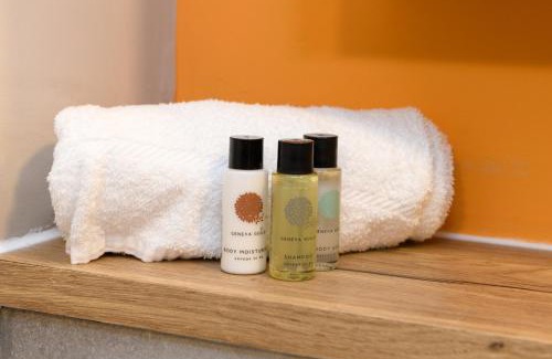 Plasnewydd Apartment | Gad Suite by Koya Homes - 2 Ensuite Bedroom Apartment, Cardiff City Centre, Free Parking