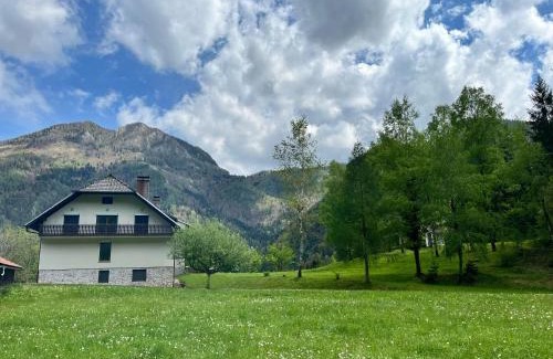 Luce House | Gaj pod brezami