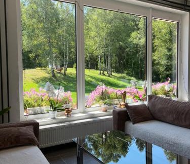 Luce House | Gaj pod brezami
