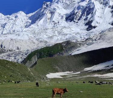 Hunza Other | Galib Camping Site Minapin Hunza Nagar Gilgit Baltistan Pakistan