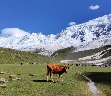 Hunza Other | Galib Camping Site Minapin Hunza Nagar Gilgit Baltistan Pakistan