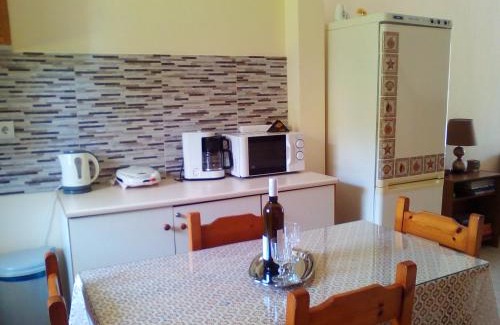 Mytikas Apartment | Galini