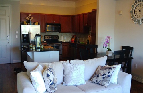 The Galleria Apartment | Galleria Luxury High Rise