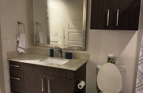 The Galleria Condo | Galleria Retreat: Modern Comforts in Prime Houston Location - ALL YOU NEED!
