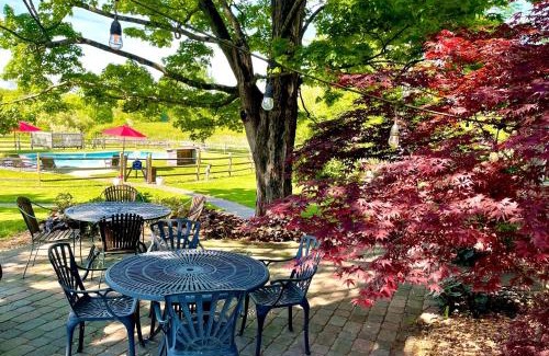Pipersville Bed & Breakfast | Galvanized America Inn & Art Gallery