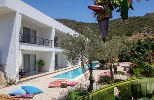 Hayitbuku Apartment | Gammi Hayıtbükü