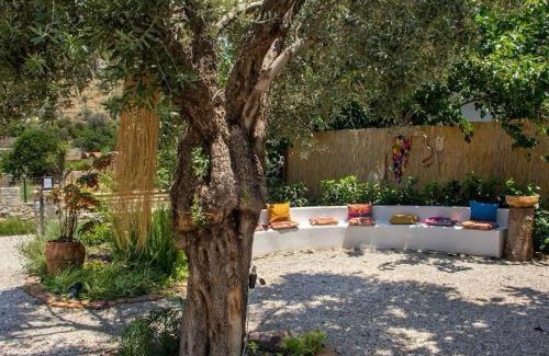 Hayitbuku Apartment | Gammi Hayıtbükü