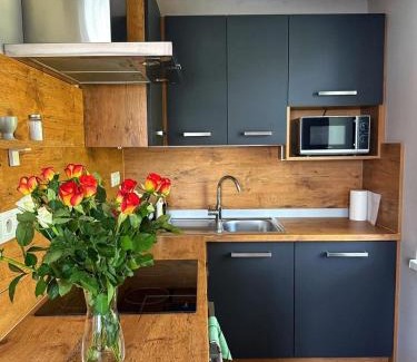 Kralovsky Chlmec Apartment | Garden Apartments
