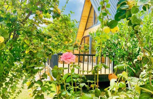 Beldibi Hotel | Garden Bungalow