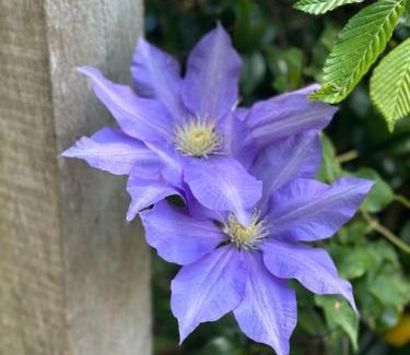 Hambleden House | Garden Cottage