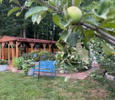 Montclair House | Garden Hallow