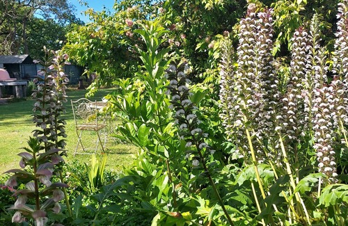 Doonside House | Garden of Eden Boutique Cottage and Spa