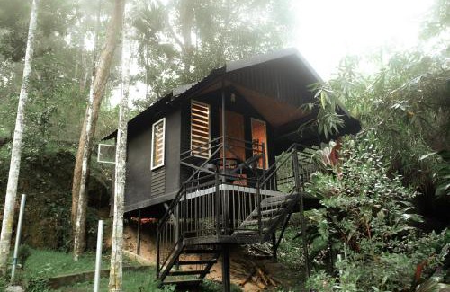 Aadit Resort | Garden of Eden-Thottam Munnar-Hiking and camping