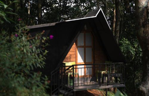 Aadit Resort | Garden of Eden-Thottam Munnar-Hiking and camping