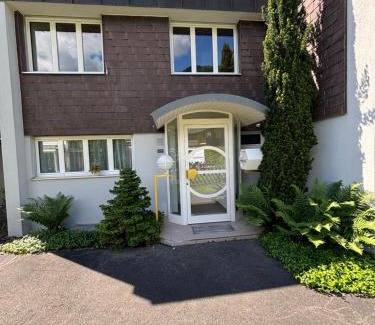 Central Interlaken House | Garden Park Apartment