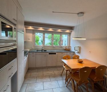 Central Interlaken House | Garden Park Apartment