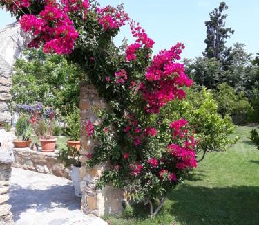 Pyrgos Psilonerou Apartment | Garden Rooms