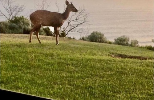 Brenton-on-Sea Villa | Garden Route Spectacular View Over Indian Ocean