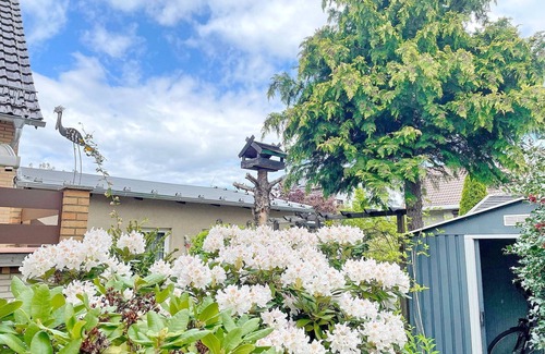 Lubbenau/Spreewald House | Garden view